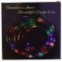 Уличная гирлянда «Crismas share Beautiful from here RGB»