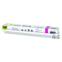 Лампа светодиодная ASD LED-T8R-standard 10Вт GU13 6500К