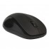 Беспроводная мышь Smartbuy 324AG Black USB