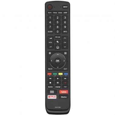 Пульт HISENSE EN3Y39H