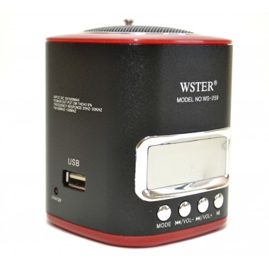 Портативный цифровой спикер WSTER WS-259