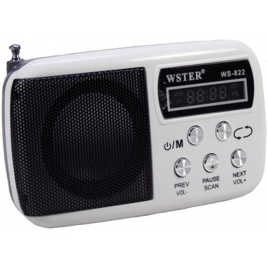 Портативный цифровой спикер WSTER WS-822